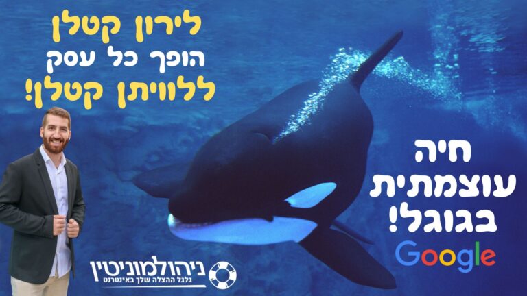 לירון קטלן מומחה פרסום באינטרנט